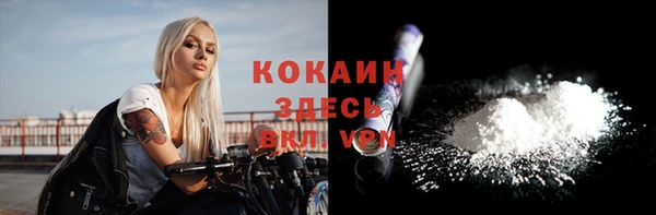 твердый Володарск